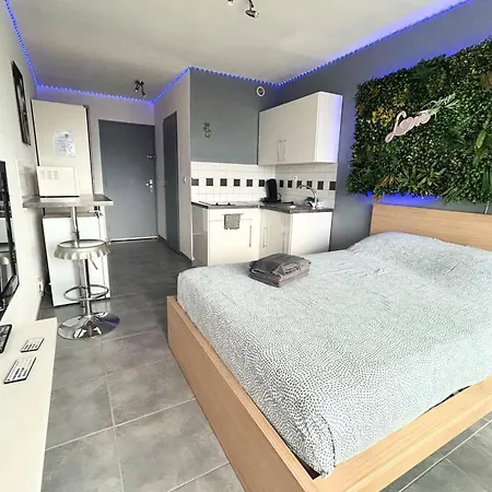 Naturiste Cap D'agde Heliopolis F 47 דירה *
