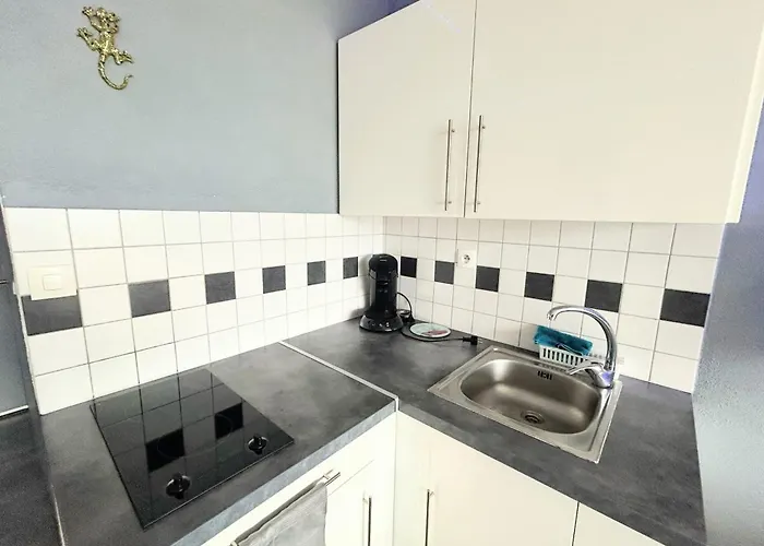 Naturiste Cap D'agde Heliopolis F 47 Apartment Agde